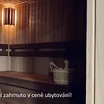 Апартаменты Horsky Novy Javor - S Moznosti Vyuziti Wellness Железна-Руда