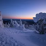 Horsky Novy Javor - S Moznosti Vyuziti Wellness Апартаменты