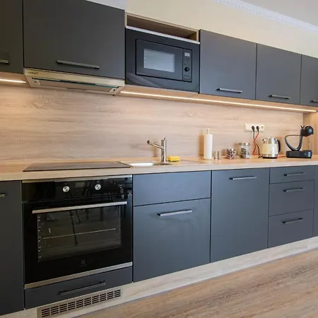 Apartment Horsky Novy Javor - S Moznosti Vyuziti Wellness Železná Ruda