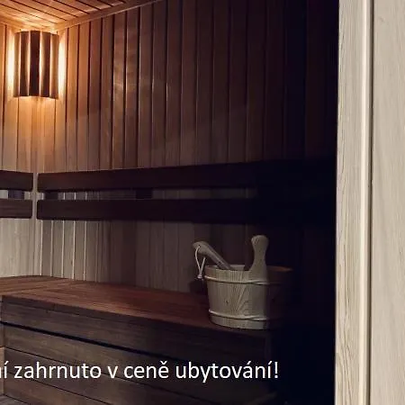 Apartment Horsky Novy Javor - S Moznosti Vyuziti Wellness Železná Ruda