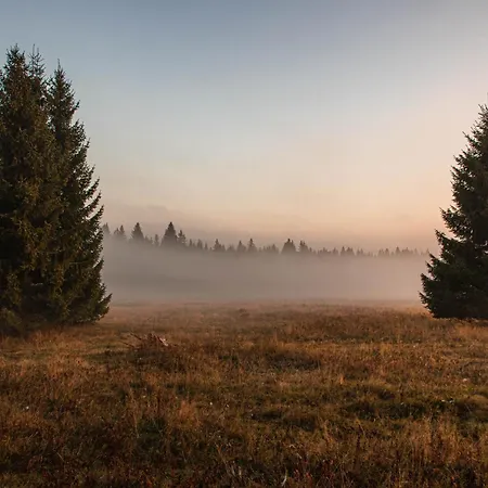 Horsky Novy Javor - S Moznosti Vyuziti Wellness * Železná Ruda