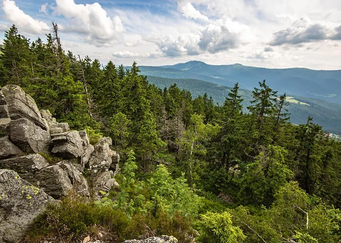 Apartament Horsky Novy Javor - S Moznosti Vyuziti Wellness Železná Ruda